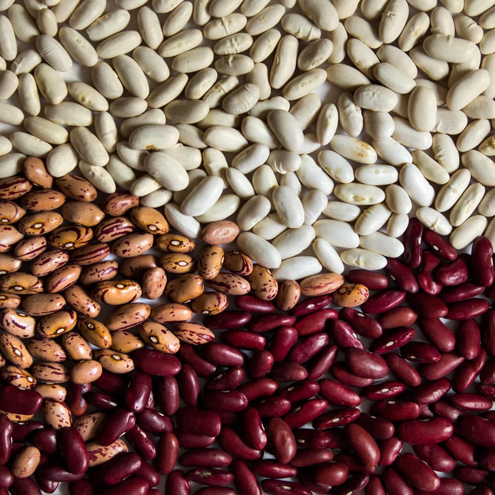 Kidney Beans (Ramgarh, Munsiyari, Chakrata, Harsil)