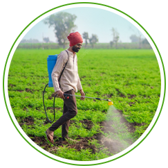 Disease and Pest Control